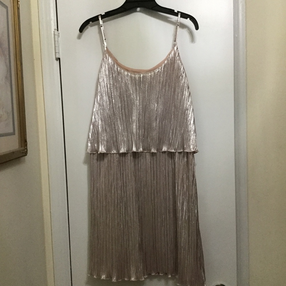 Rue 21  Rose  dress XL